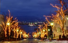 Hakodate Illumination