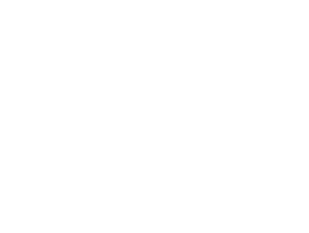 SWISS PERFECTION