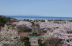 オニウシ公園